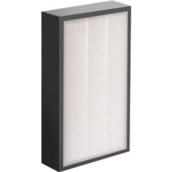 Aeramax Professional AM II Hepa Filter 50mm