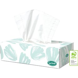 Sorbent Professional Silky White Facial Tissue 2 Ply 100 Sheets ctn 48