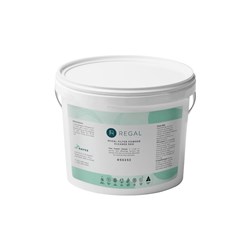 Regal Filter Powder Cleaner 5 Kilograms (Freight Applies)