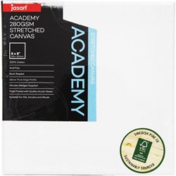 Jasart Academy Canvas 1/2 Inch 2 Thick Edge Pack 6